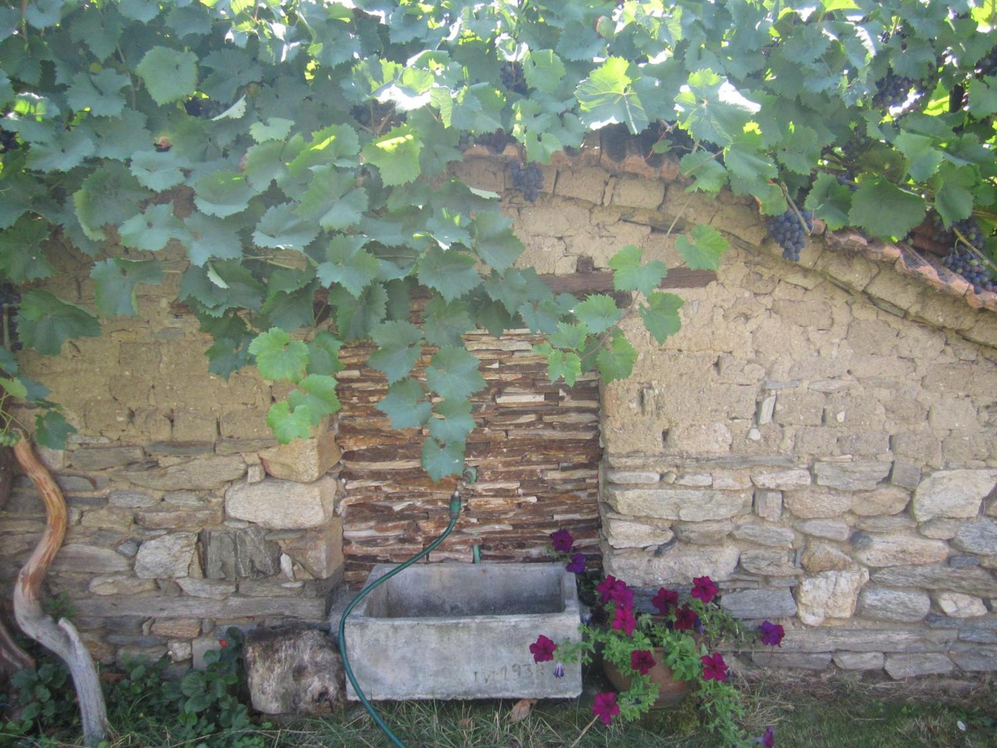 Marchevo Guest House Popov מראה חיצוני תמונה